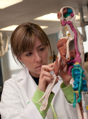 Nora LaFata, a teacher from St. Louis, builds a model of the human body from the inside out during one of Missouri S&T's Project Lead the Way summer workshops.