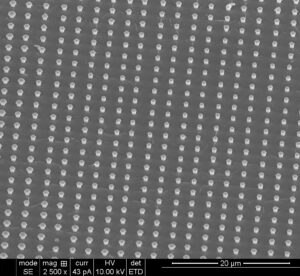 Cadmium telluride nanowire arrays produced in Nath's laboratory. Photo by Manashi Nath.