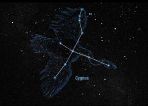 The constellation Cygnus. Photo courtesy of NASA.