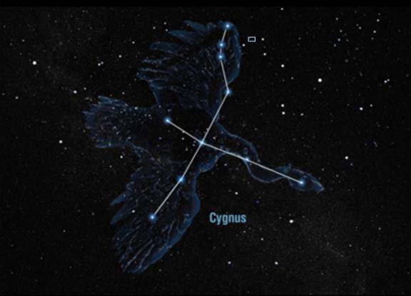 The constellation Cygnus. Photo courtesy of NASA.