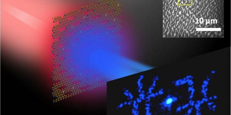 Researchers realize world’s thinnest optical hologram with 2-D material monolayer