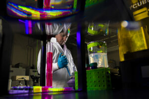 Dr. Anthony Convertine in his lab