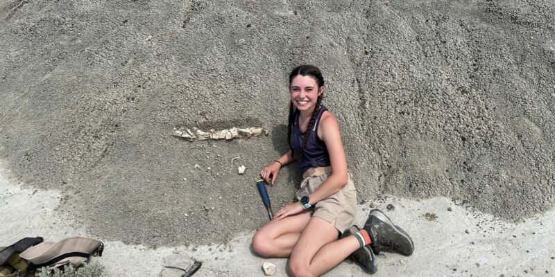 Thrills and frills for Missouri S&T student with dinosaur find
