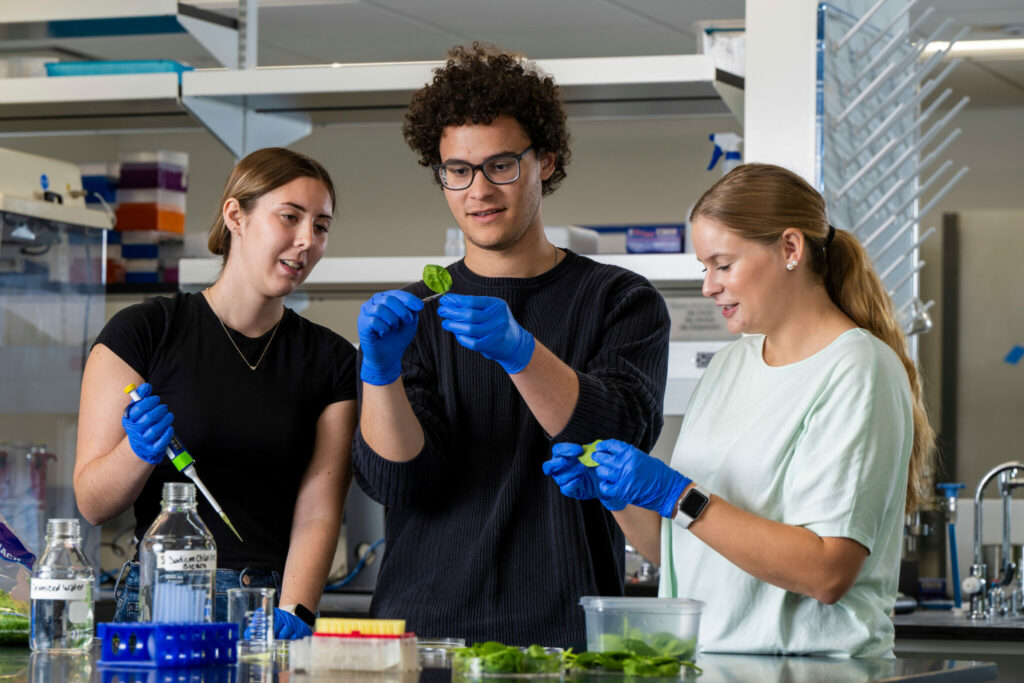 Three students in lab with spinach