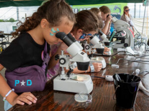 Children looking through microscopes