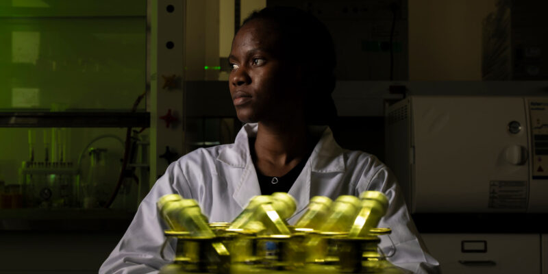 How many forever chemicals are in your local fish populations?