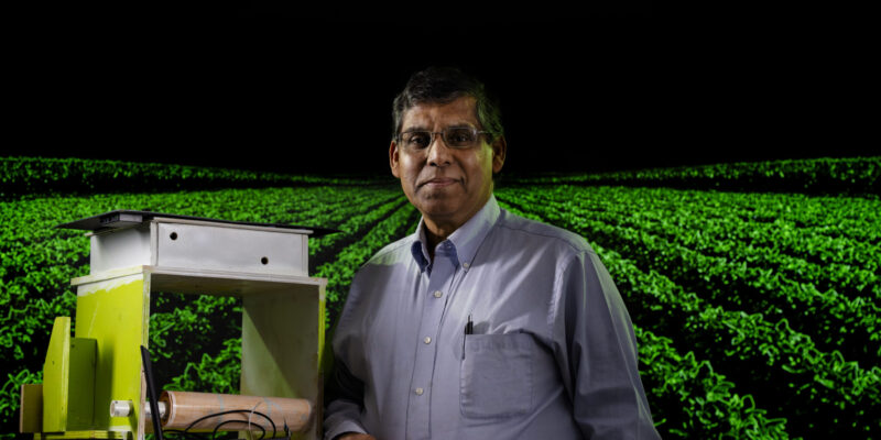 S&T researchers developing AI system to prevent pests, improve crop yield for rural farms 