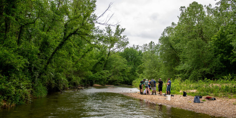 Q&A about S&T’s environmental science program