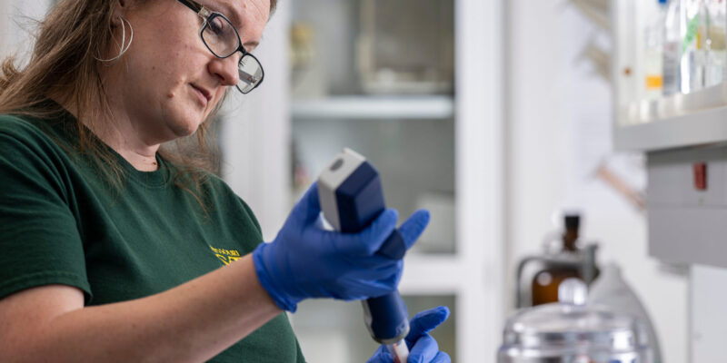 A love of puzzles leads to biomedical research