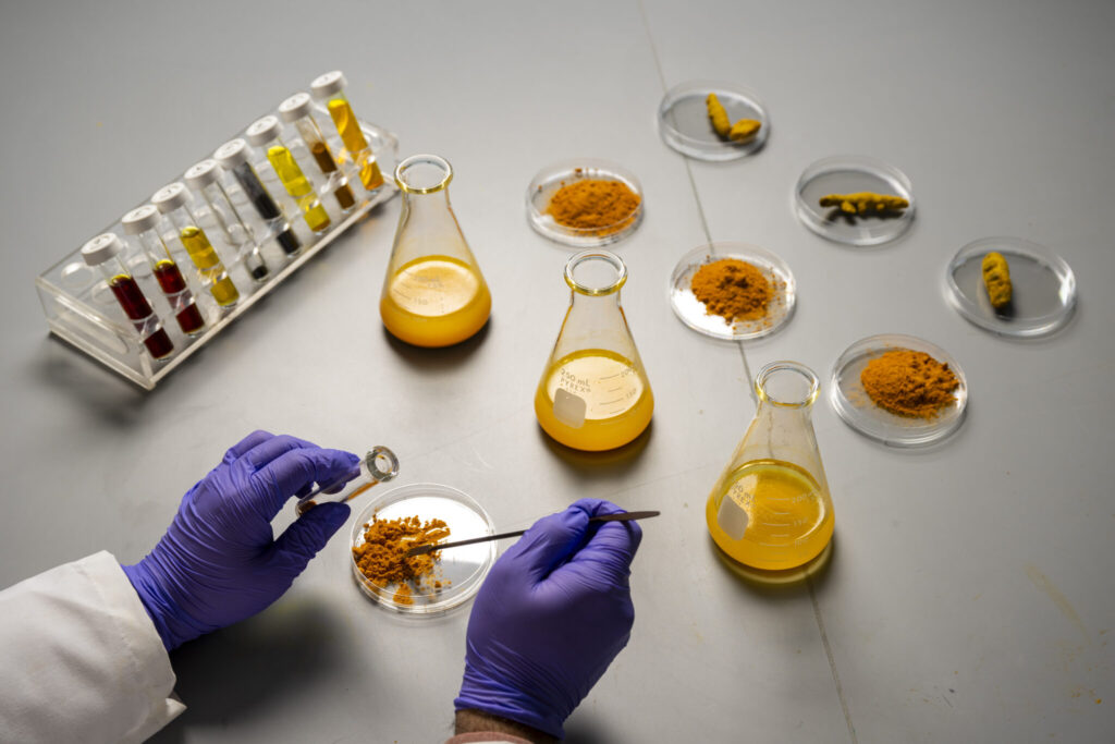 A variety of turmeric samples in a Missouri S&T lab.
