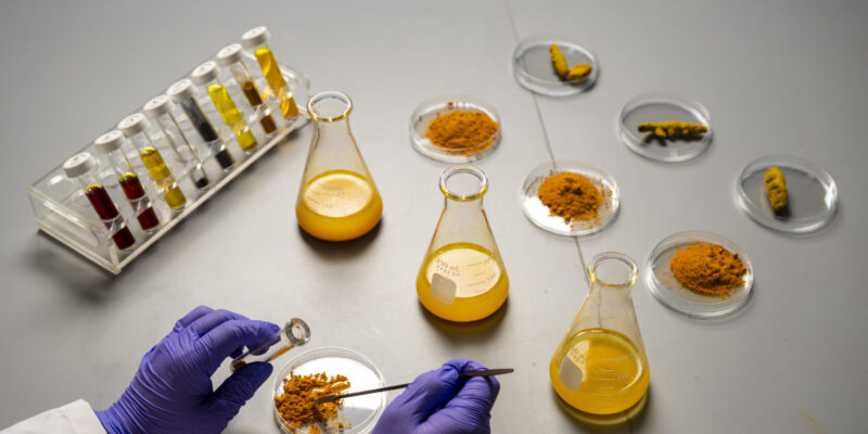 Microwaved curry: Missouri S&T professor spices up health research 