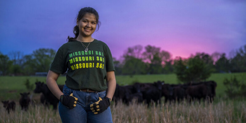 Studying ‘til the cows come home